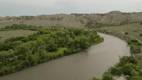 arm of river alazani with trees on shore in vashlovani nature reserve