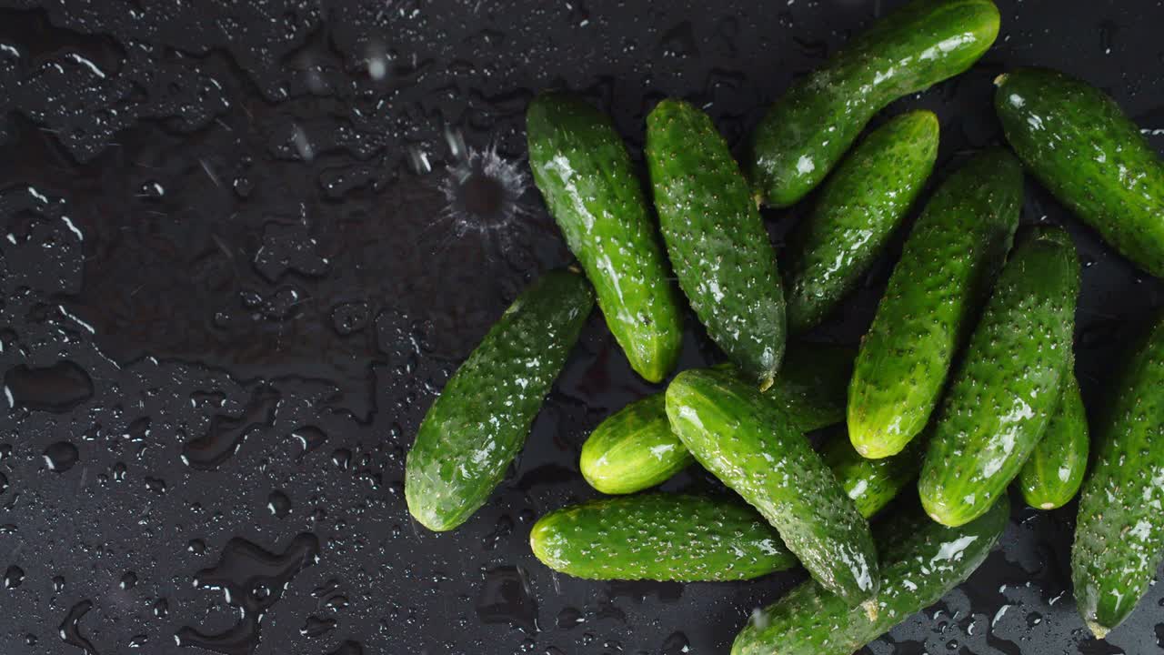 신선한 어린 호박 어리에 떨어지는 물방울.