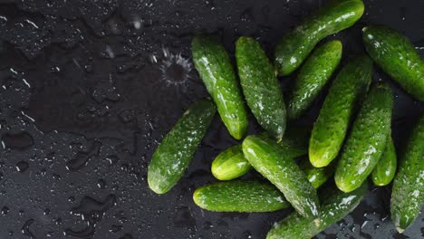 drops of water falling on a heap of fresh young cucumbers.