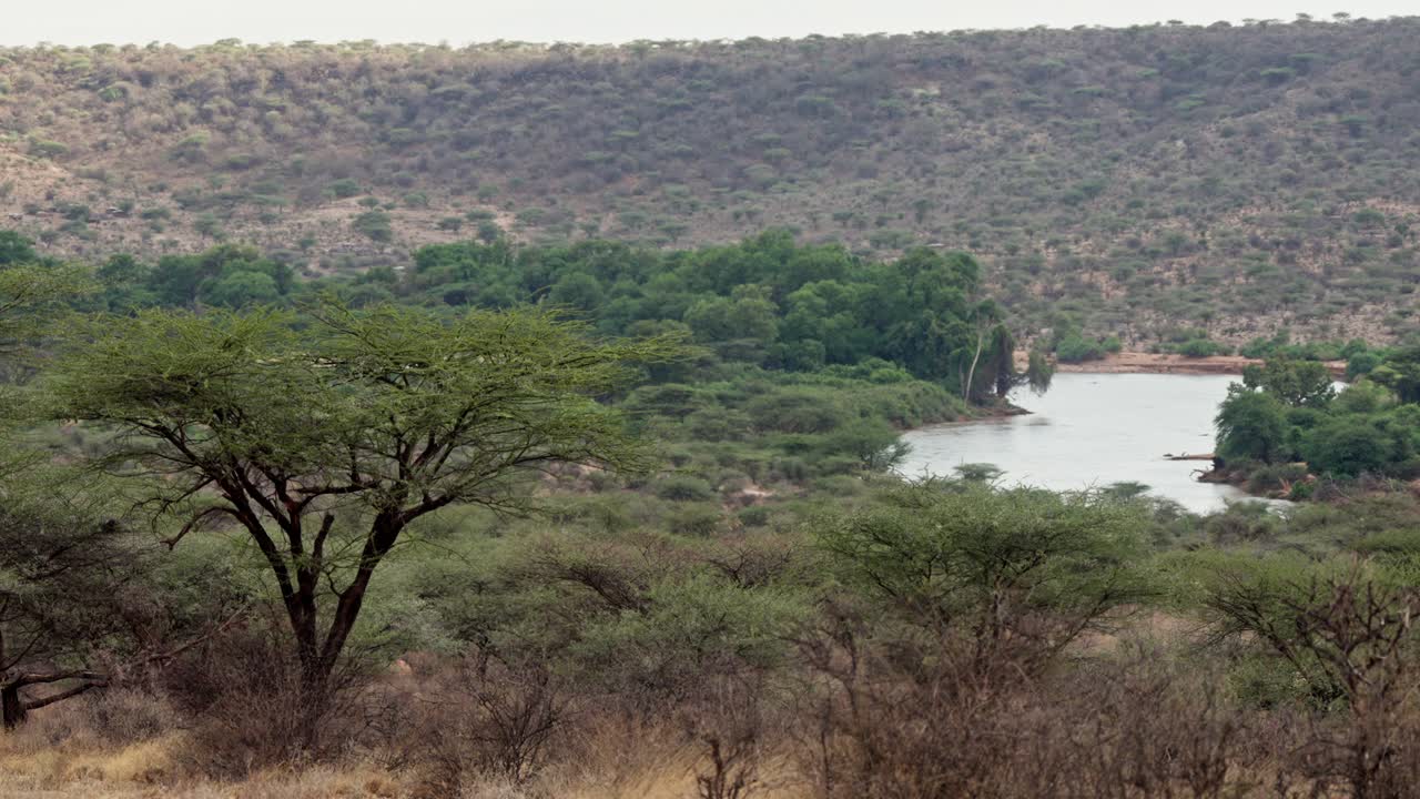 Ampia veduta di un fiume tortuoso che scorre attraverso boschi di acacia e colline semi aride a Samburu, in Kenya, che mostra la vegetazione naturale della savana, il terreno stratificato e la remota natura selvaggia dell'Africa orientale