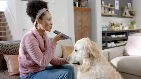 mujer biracial feliz acariciando al perro y hablando en teléfono inteligente en casa, en cámara lenta