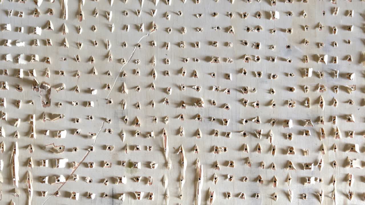 usar aire comprimido para eliminar los bordes ásperos de una cuadrícula de agujeros perforados en madera contrachapada