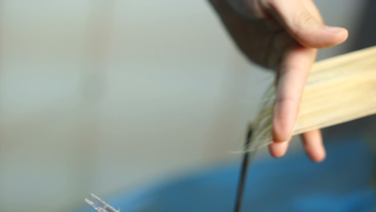 Hair cutting in beauty salon. Young woman with hairdresser cutting hair at salon