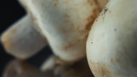 macro video of a pile of mushrooms, raw champignons, white caps reflection, on a rotating stand, smooth movement 4k