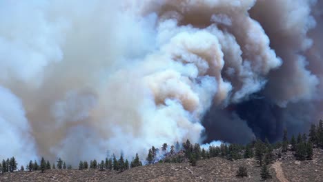 large wildfire smoke cloud rising, caused by the forest fires in the highlands of california