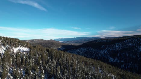 aerial drone shot of a dense forested valley with mountains