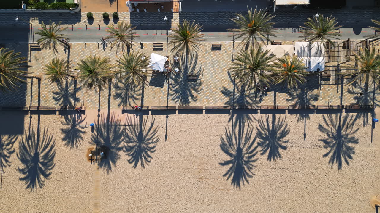 Aerial drone view of people walking on a promenade lined with palm trees near the beach in Alicante, Spain