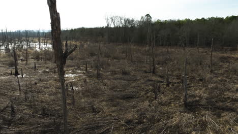 Bare-trees-and-dry-grass-in-Point-Remove-Wildlife-Area,-Blackwell,-Arkansas,-winter-scene,-aerial-view