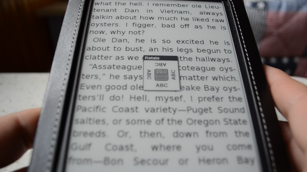Electronic book. Reading book