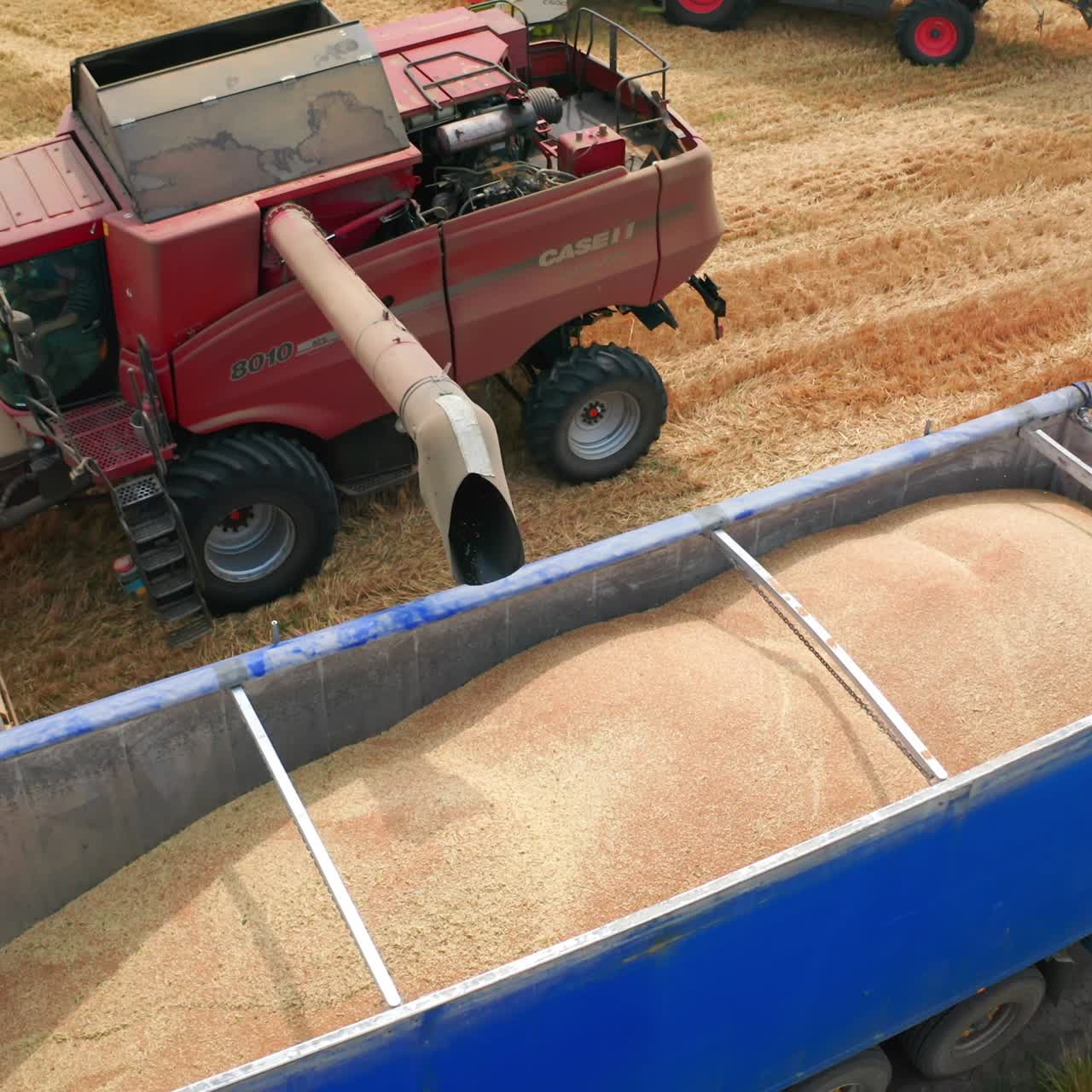 Freshly-picked crops downloaded in a tractor. Red harvester finishes uploading harvest and leaves to continue work in the field. Top view