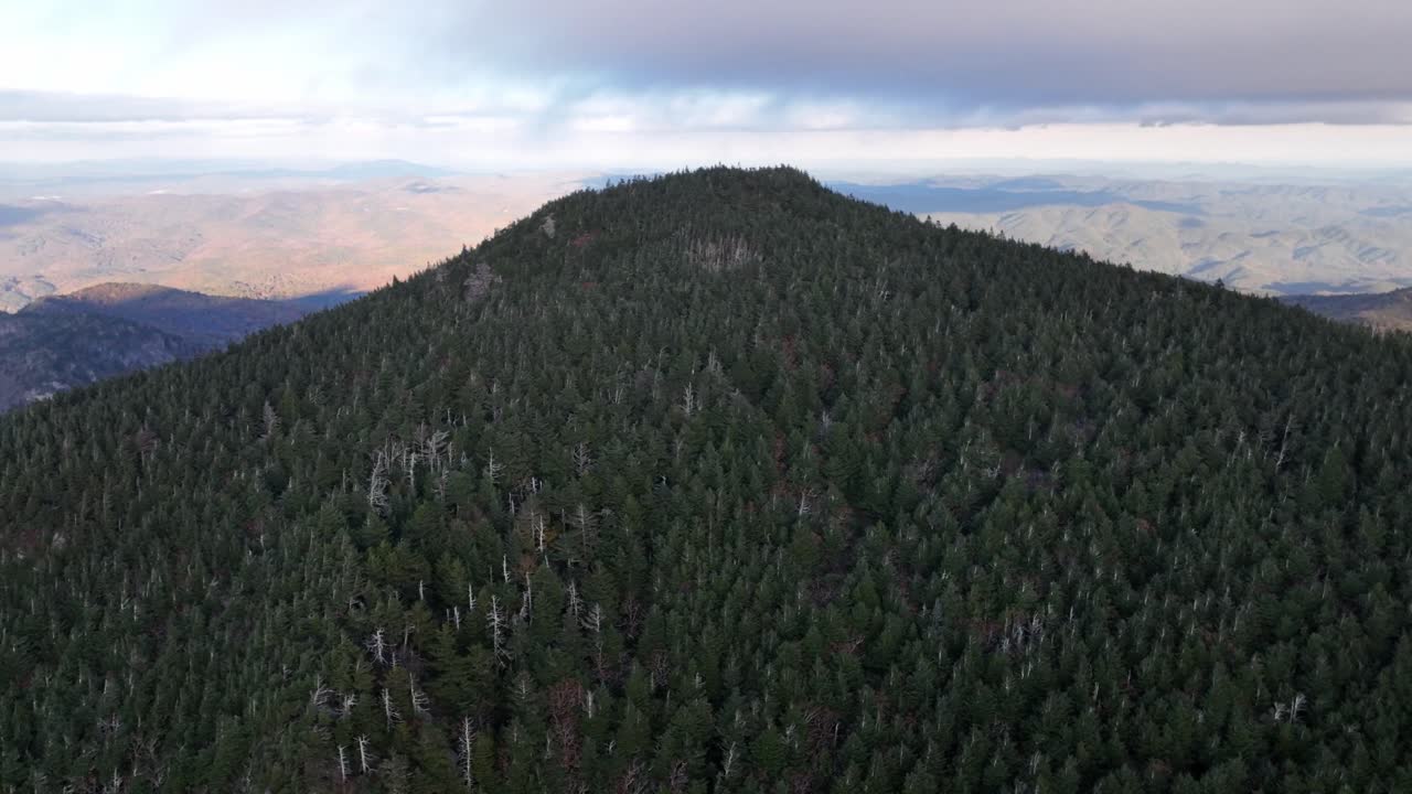 pico de calloway antena en la cima de la montaña abuelo nc, carolina del norte