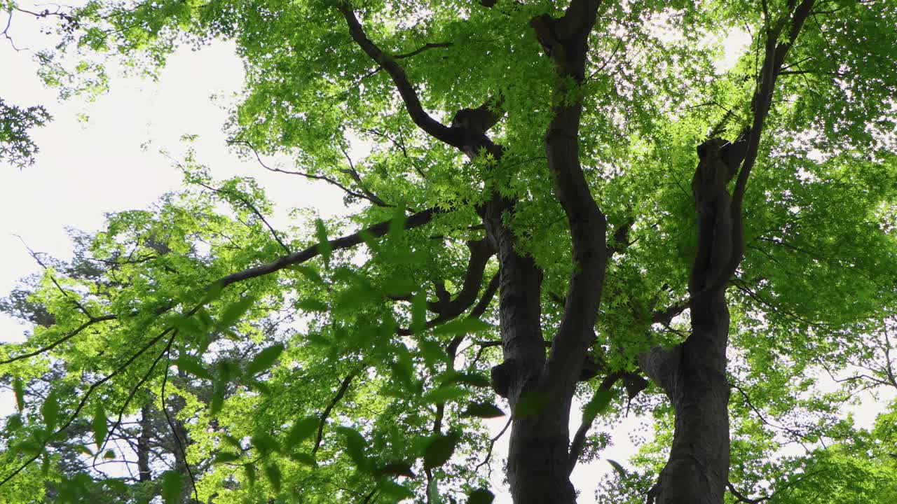 요코하마 최고의 전망