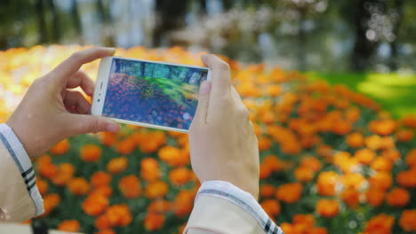 Woman-Photographs-Beautiful-Flowerbed