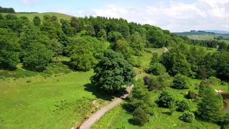 Eine-Herde-Highland-Kühe-Und--Kälber,-Die-Im-Sommer-Auf-Einem-Schottischen-Hügel-Spazieren-Gehen