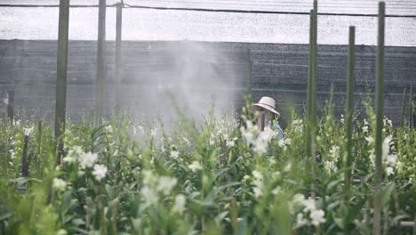 granjero rociando fertilizante a la orquídea en la granja