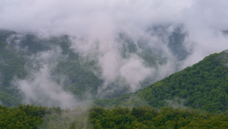 flying above the dreamy mist of the smoky mountains