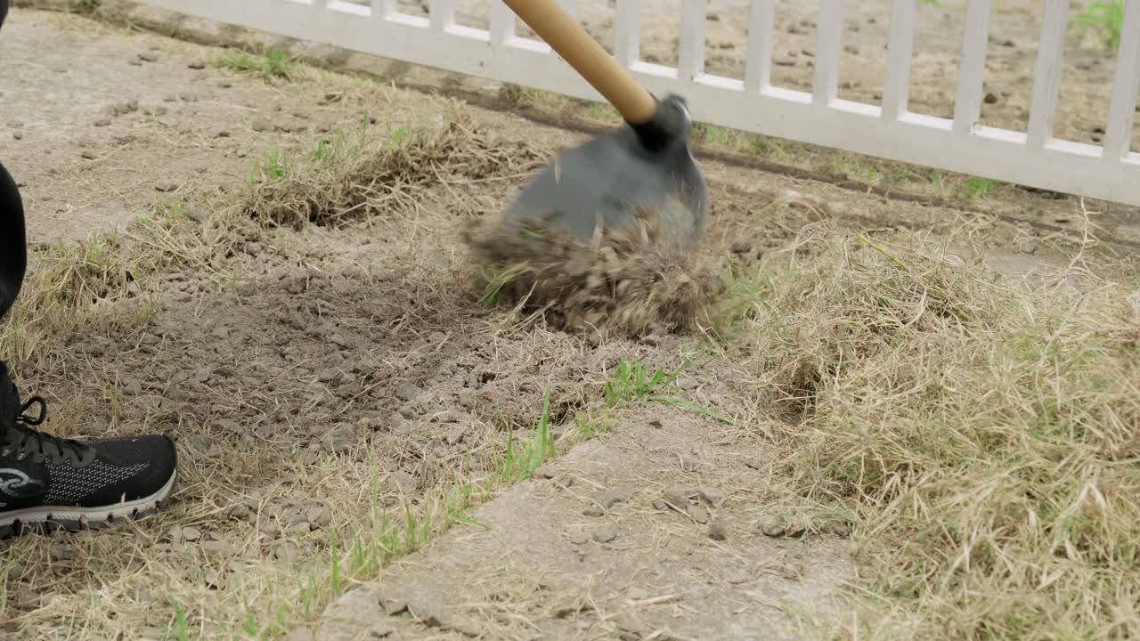 High angle shot of a person picking up a gardening hoe and starting to clear weeds and till the dry dirt ground next to a white fence in a backyard