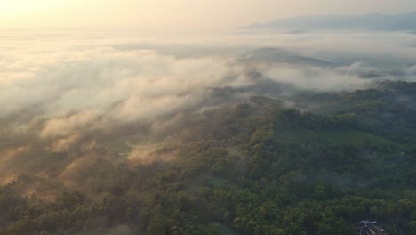 Luftaufnahme-Eines-Nebligen-Morgens-In-Einer-Tropischen-Ländlichen-Landschaft,-Eingehüllt-In-Nebel