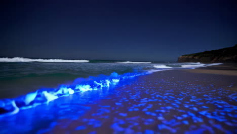bioluminescent waves on a night beach