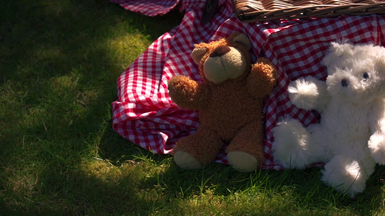 Picnic con orsacchiotti con cestino intrecciato vintage sull'erba, ripresa panoramica dall'alto a media distanza in 4K al rallentatore con messa a fuoco selettiva.