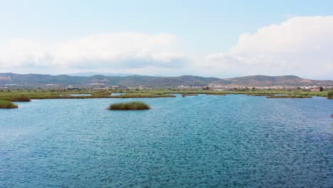 calm blue swamp with mountain range in background