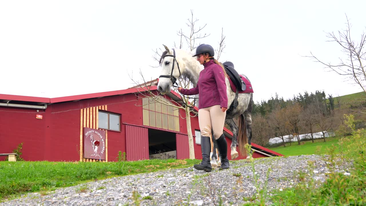 женщина и лошадь на открытом воздухе
