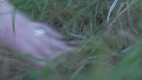 Teenage-female-hand-plants-acorn-tree-seed-into-ground