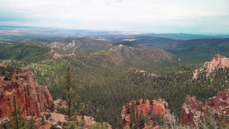 slow panning shot above a high-altitude desert forest at the top of the grand staircase, utah