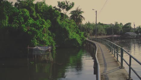 a serene canal in bangkok surrounded by lush greenery, palm trees, and a quiet walkway