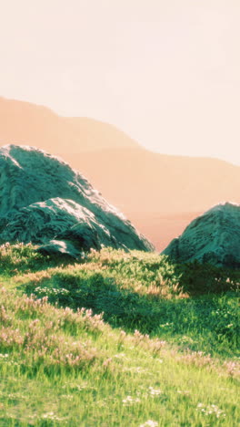 meadow with huge stones among the grass on the hillside at sunset