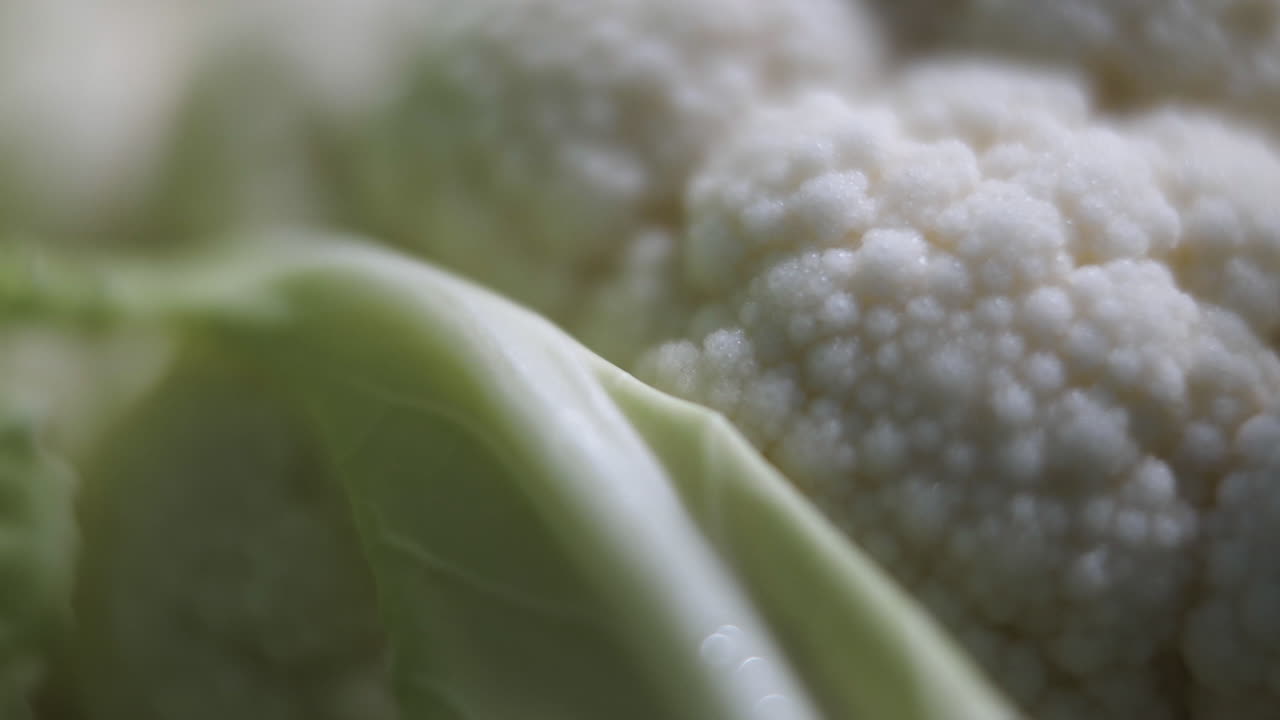 Macro shot of fresh cauliflower vegetable with sunlight moving across