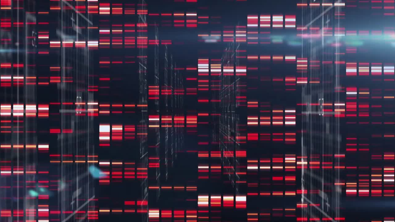 animación del procesamiento de datos y formas sobre fondo negro