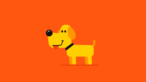 yellow dog and drone concept