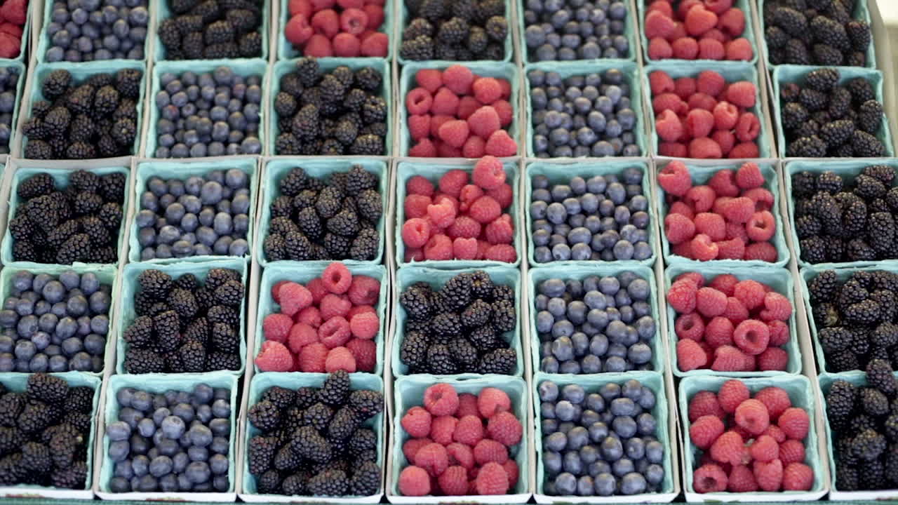 Assortment of Fresh Blueberries, Raspberries, and Blackberries in Containers