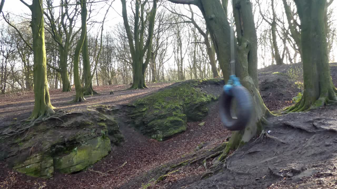 가을 숲에 매달려 타이어 로프 스윙