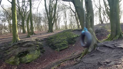 tyre rope swing hanging in autumn forest