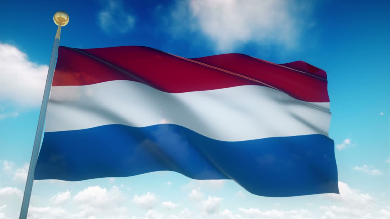 4k 고도로 상세한 네덜란드의 발 loopable