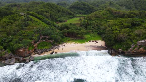 aerial view of tropical forest, white beach and ocean waves on coastline, indonesia