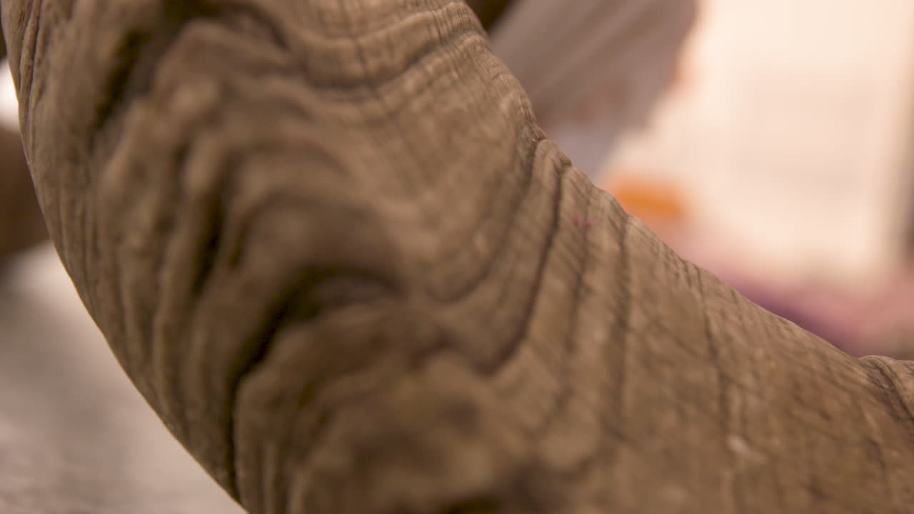 tiro ajustado de cuerno grande de oveja cuernos de alta velocidad