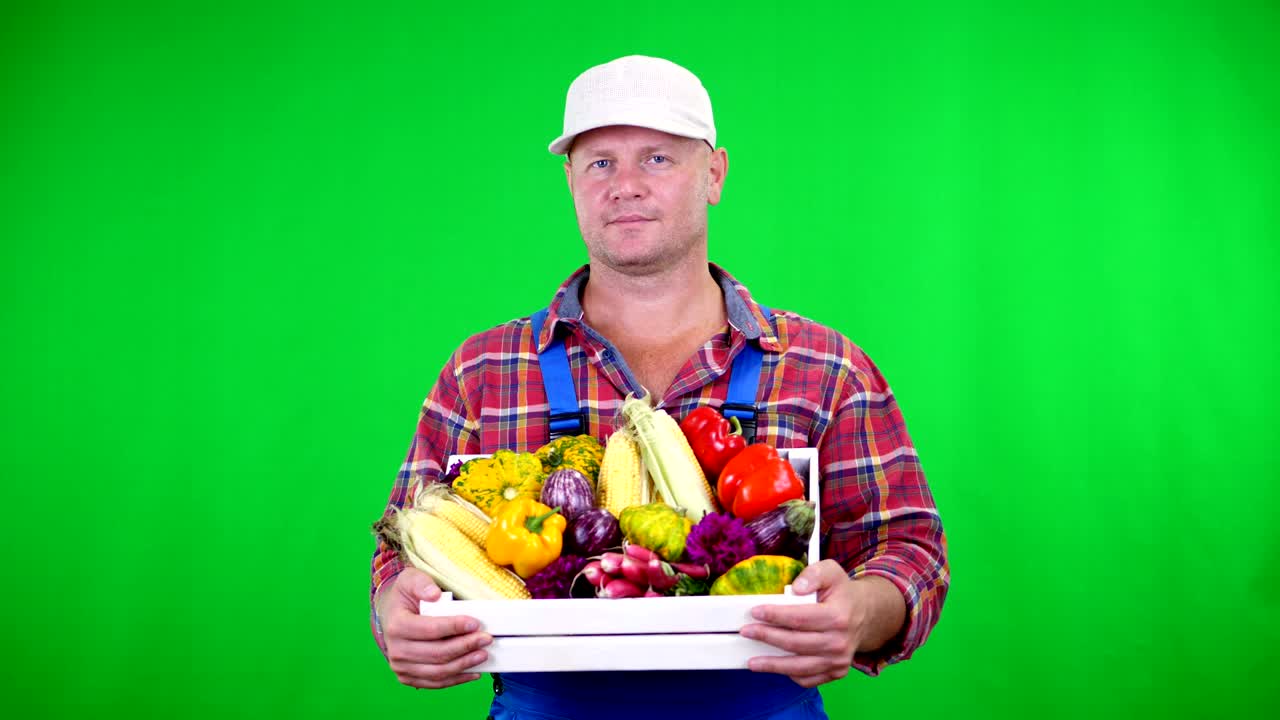 smiling male farmer in plaid shirt and hat holds a box with different fresh vegetables, on Chromakey, green background. concept of crop counting, harvest of vegetables