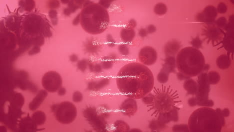 animation of burning document over rotating 3d dna strand, over moving cells on pink