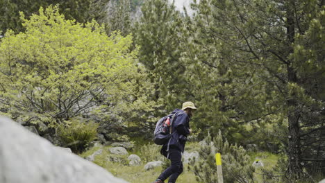 solo male trekker walking in aigüestortes national park located in the catalan pyrenees spain