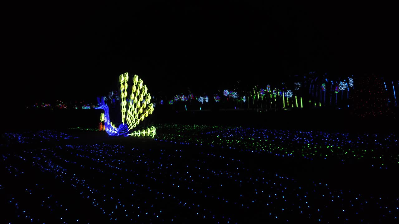 공원에서 led 조명 축제, 공작 꼬리가 노란색으로 켜짐