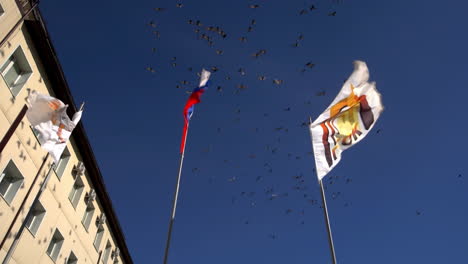 flags and birds flying above a building