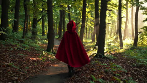 little girl in red hood walking through the forest