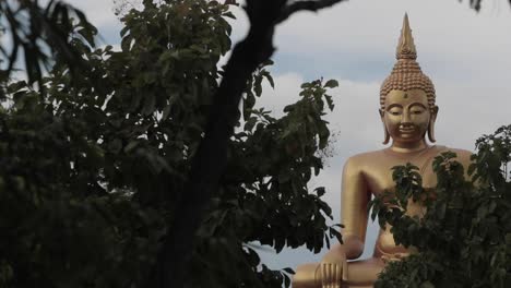 Golden-Buddha-Statue-through-forest-close-up