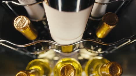 botellas de vino en un enfriador de vino