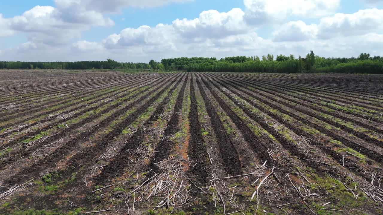 Panning aerial movement over symmetrical rows of plowed and fertile farmland under a bright sky.