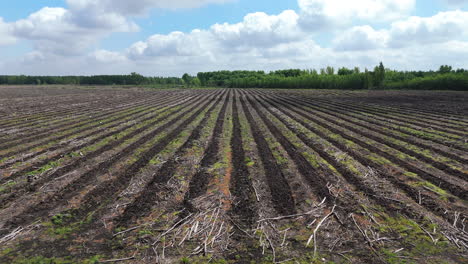 panning aerial movement over symmetrical rows of plowed and fertile farmland under a bright sky.