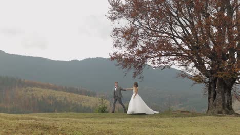 lovely young newlyweds bride groom walking on mountain slope, holding hands, wedding couple family